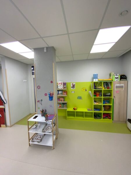 Mandryk International School
