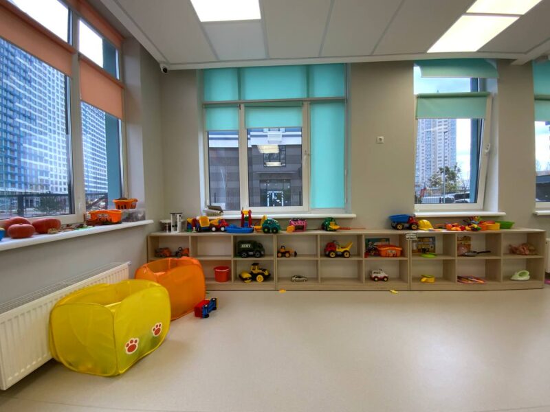 Mandryk International School